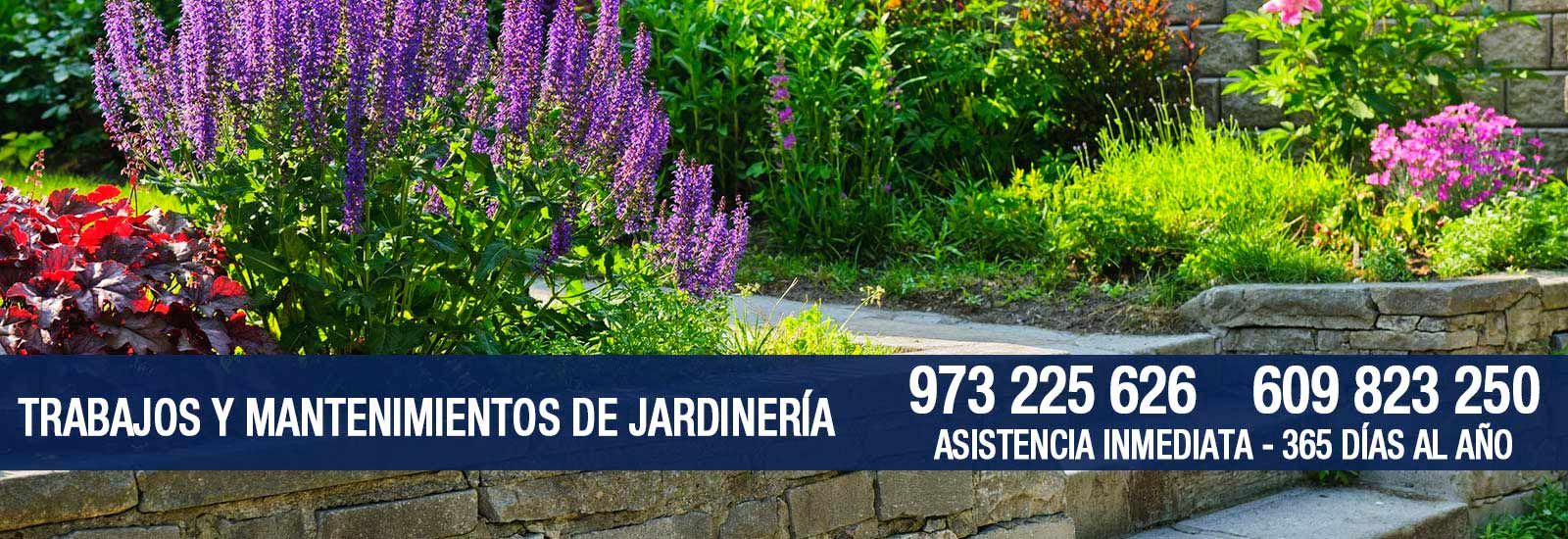 Multiservicios Abacel banner trabajos y mantenimientos de jardinería